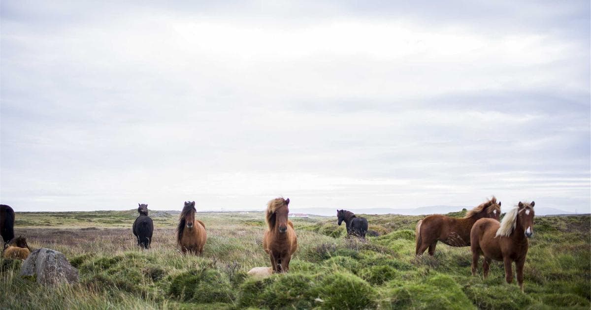 Laboratory third-party testing