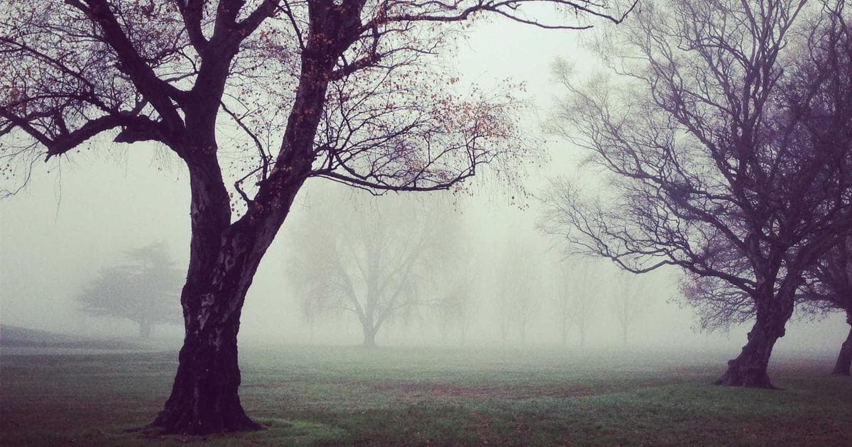 Rule Biologics sourcing and quality standards